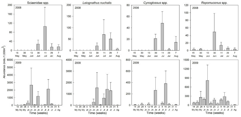 Seasonal variation of major fish eggs occurred in the study area on May to August, 2008~2009. My, May; Jn, June; Jl, July; Ag, August (Continued)