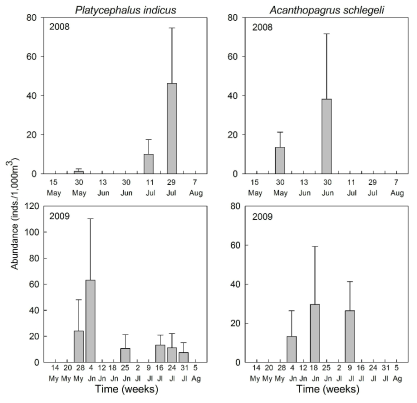 Seasonal variation of major fish eggs occurred in the study area on May to August, 2008~2009. My, May; Jn, June; Jl, July; Ag, August (Continued)