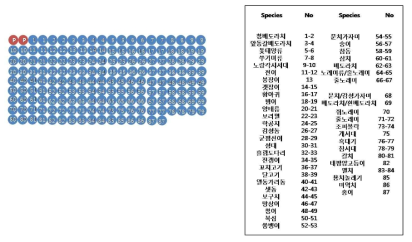 The image of fish DNA chip