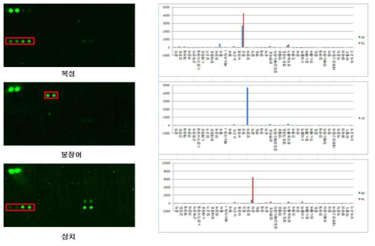 Takifugu niphobles, Conger myriaster, and Scomberomorus niphonius DNA chip test