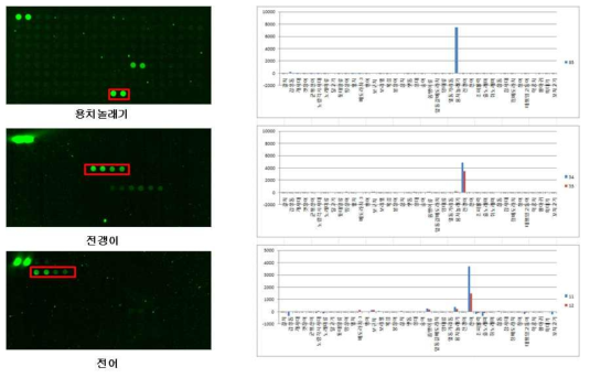 Halichoeres poecilopterus, Trachurus japonicus, and Konosirus punctatus DNA chip test