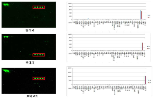 Lophius litulon, Paraplagusia japonica, and Sphyraena pinguis DNA chip test