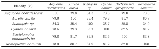 Nucleotide identities (%) of jellyfish species