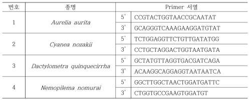 Construction of species specific primers in jellyfish