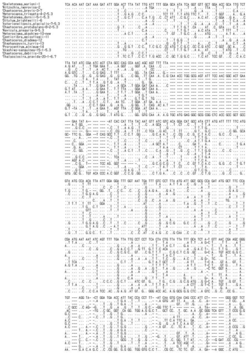 Sequencing analysis of microalgae