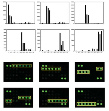 DNA chip analysis using species-specific probes (jellyfish)