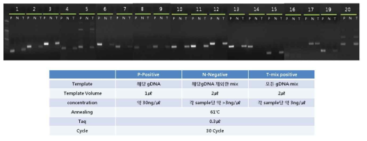 Identification of microalgae by PCR method