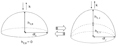 Geometric shape of jellyfish (Nemopilema nomurai) using acoustic model (Expansion of the umbrella (left), Contraction of the umbrella (right)