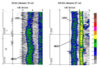 Example of acoustic signal (side-aspect jellyfish, diameter: 79 cm [38 kHz], diameter: 67cm [420 kHz])