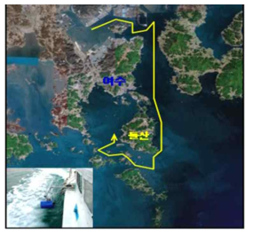 Acoustic transect for detecting jellyfish