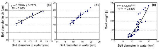 Relationship between bell diameter in water and bell diameter in air of an jellyfish (Aurelia aurita)