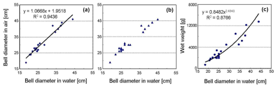 Relationship between bell diameter in water and bell diameter in air of an jellyfish (Cyanea nozakii )