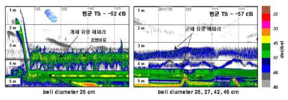 Acoustic characteristics of jellyfish (Cyanea nozakii)