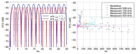 Reduce Target strength (RTS) as ka for jellyfish (Nemopilema nomurai) using acoustic model