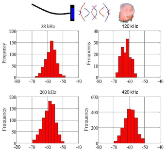 Side-aspect target strength (TS) frequency for jellyfish (Nemopilema nomurai , bell diameter: 18 cm)