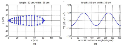 Shape of red tide (Chattonella sp.) and Result of acoustic model