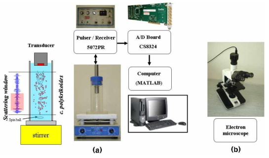 Schematic diagram at the experimental set up in lab