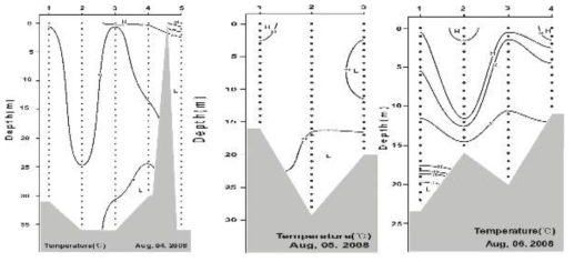 Vertical distribution of water temperature on August, 2008 near the Gumo Islands