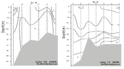 Vertical distribution of salinity on July, 2008 near the Gumo Islands