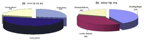 Percentage composition of phytoplankton on August(a) and September(b), 2010 near coastal area of the Tongyeong