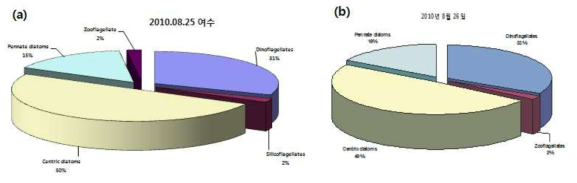 Percentage composition of phytoplankton on August, 2010 near coastal area of the Yeosu