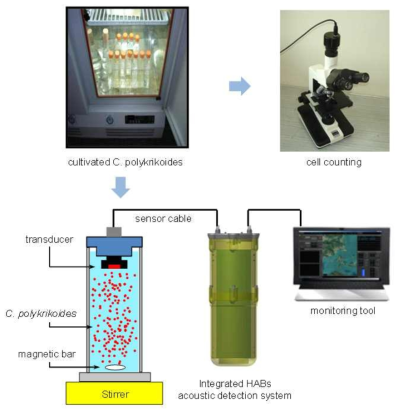 Performance evaluation from acoustic detection system in lab