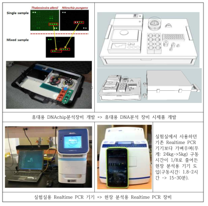 A kit development for DNA extraction and analysis in the field