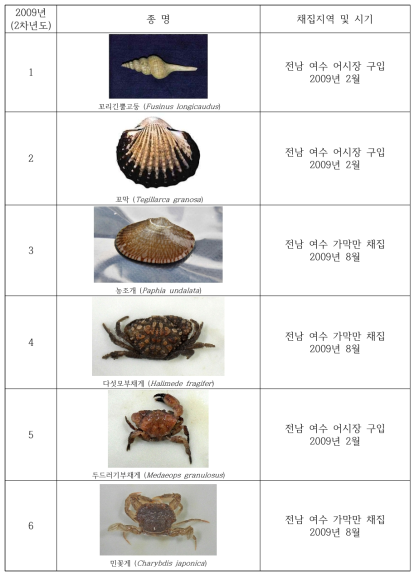 Collection of the useful invertebrates in study area(2009)