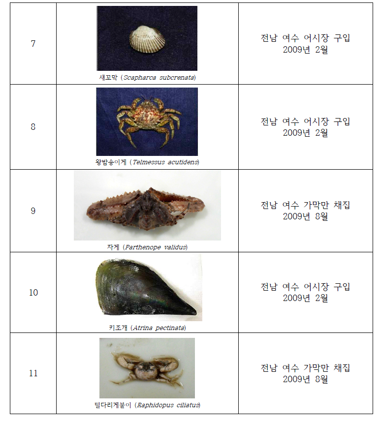 Collection of the useful invertebrates in study area(2009)(Continued)