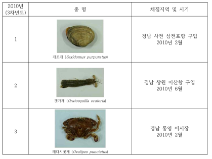 Collection of the useful invertebrates in study area(2010)