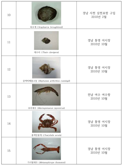 Collection of the useful invertebrates in study area(2010)(Continued)