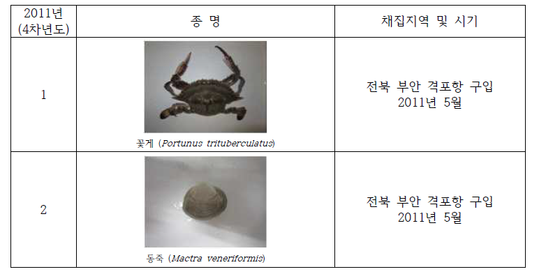 Collection of the useful invertebrates in study area(2011)