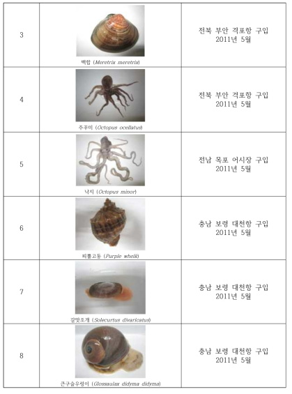 Collection of the useful invertebrates in study area(2011)(Continued)