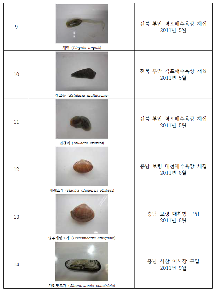 Collection of the useful invertebrates in study area(2011)(Continued)