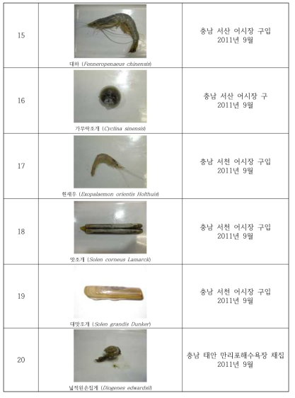 Collection of the useful invertebrates in study area(2011)(Continued)