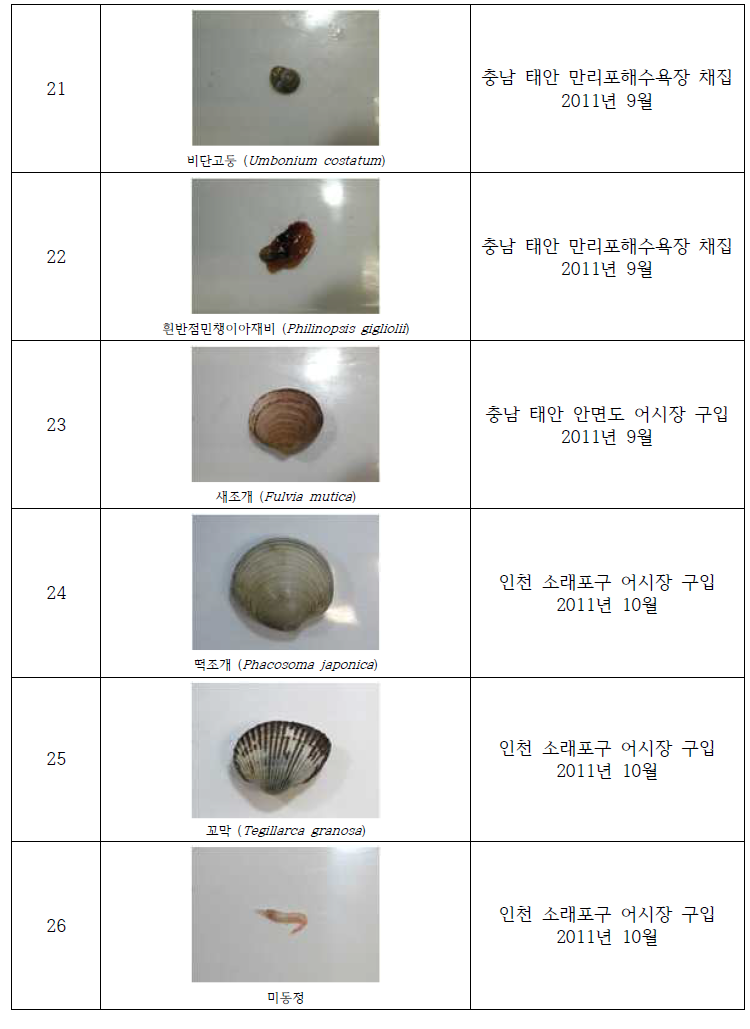 Collection of the useful invertebrates in study area(2011)(Continued)