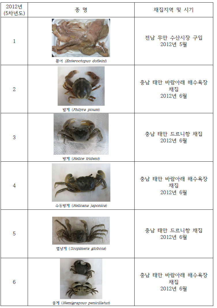 Collection of the useful invertebrates in study area(2012)