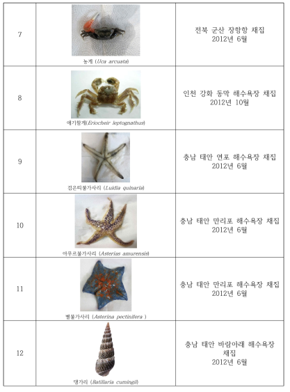 Collection of the useful invertebrates in study area(2012) (Continued)