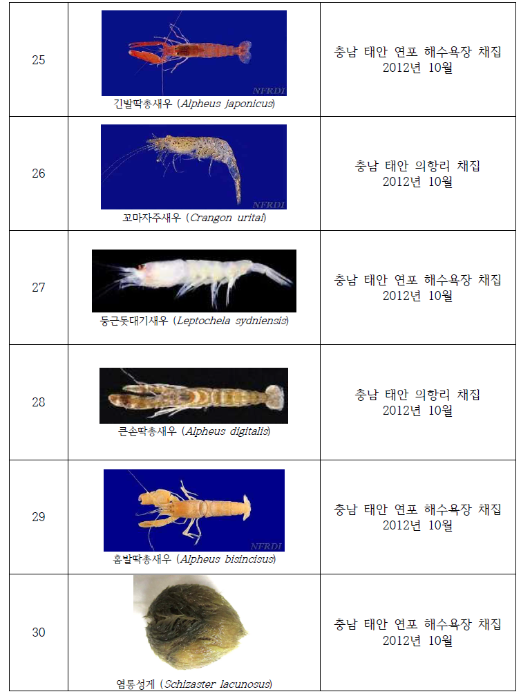 Collection of the useful invertebrates in study area(2012) (Continued)