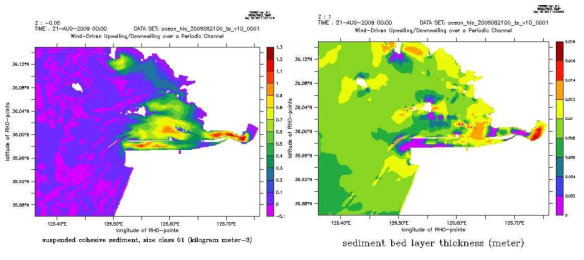 금강하구(군산항) 정밀격자 토사이동 모델을 이용한 표층 부유사이동과 해저면 침식퇴적 예측 : (a) 부유사이동, (b) 해저면 침식/퇴적