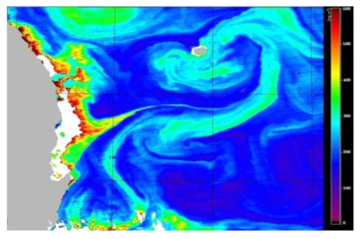 MODIS 위성자료에 의한 2010년 5월 7일 (04-30-AM GMT) 동해 서남부해역의 POC 농도