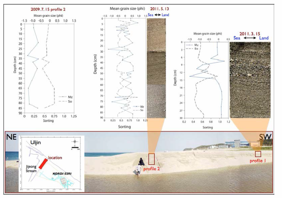 Grain size analysis of cancore in cross-section around estuary of Jijeong stream (profile 1 and profile 2)