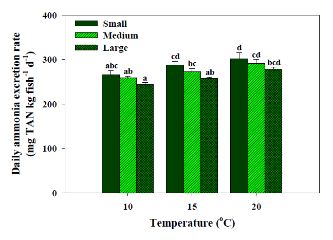 강도다리 체중(소형: 1.0～2.1 g, 중형: 34.1～38.3 g, large: 103.5～110.1 g)과 수온에 따른 일간 평균 암모니아 배설률