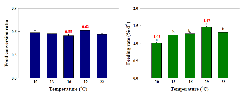 강도다리 치어의 사육 수온별 사료계수(왼쪽) 및 사료공급률(오른쪽) 조사 결과