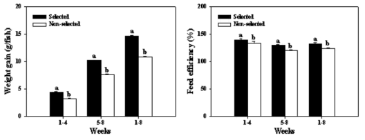 실험기간 동안의 강도다리 선발군과 비선발군의 증체량(좌)과 사료효율(우) 변화