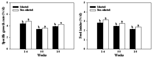 실험기간 동안의 강도다리 선발군과 비선발군의 일간성장률(좌)과 사료섭취율(우) 변화