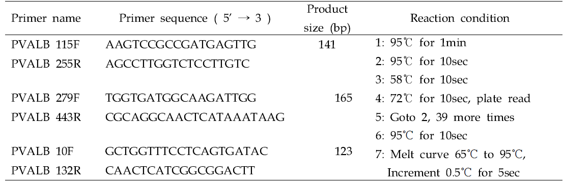 10개 어종 parvalbumin 발현양상 분석을 위한 primer 정보 및 반응조건