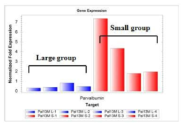 성장속도가 다른 강도다리집단에서 parvalbumin 유전자 발현양상 분석