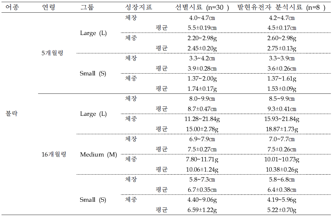 생산성관련 유전자표지 확보에 사용한 볼락 시료 정보