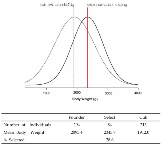 SCDb 유전자표지 선발한 참돔 선발과 비선발 친어집단의 체중분포 * full line; select, dotted line; cull